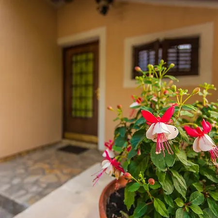 Apartamento Andrije Buvine *