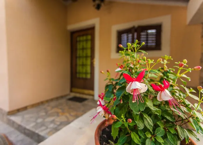 아파트 Andrije Buvine *